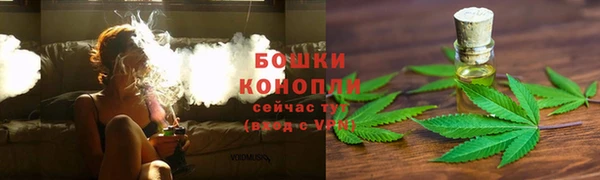 скорость Богданович